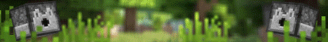 banner for vanilla.wtf server