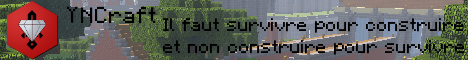 banner for YNCraft server