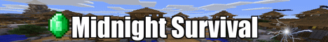 banner for TheSkypeShowTown SKyBlockz server
