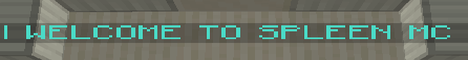banner for Spleen MC server