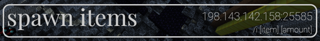 banner for Spawn Items server