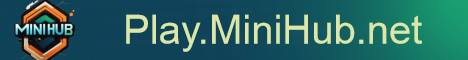 banner for MiniHub server