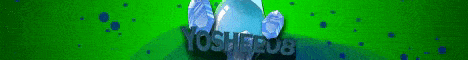 banner for Yoshee08 Network server