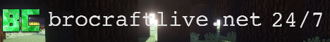 banner for BroCraft Gaming server