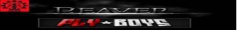 banner for Reaver Gaming Flyboys server