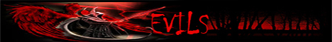 banner for Mc Evils server