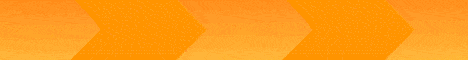 banner for PitSim server