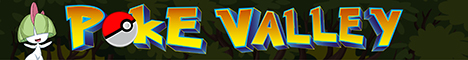 banner for PokeValley server