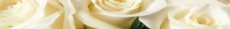 banner for White Rose Survival server
