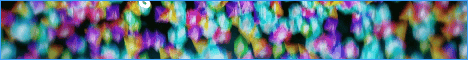 banner for BoxMiningX server