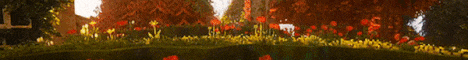 banner for COOPSIDE server