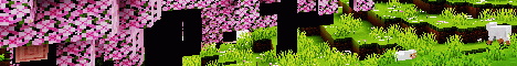 banner for TAC-MC server
