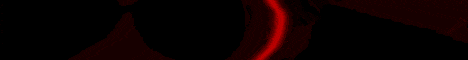 banner for Wither Network server