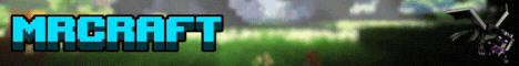 banner for MrCraft server