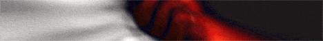 banner for FuriousPrison server