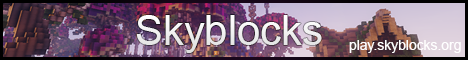banner for Skyblocks server