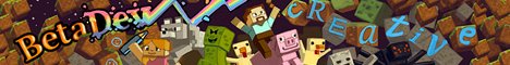 banner for BetaDev server
