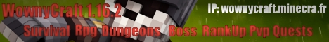 banner for WownyCraft server