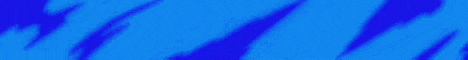 banner for WILZON server