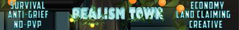 banner for Realism Town server