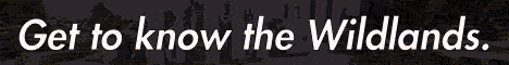 banner for SonoraBuild server