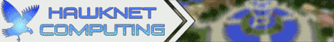 Hawknet SMP's banner