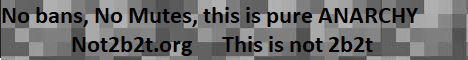 banner for Not 2b2t server