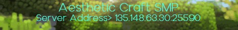 banner for Aesthetic Craft SMP server