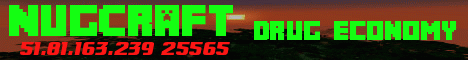 banner for NugCraft server