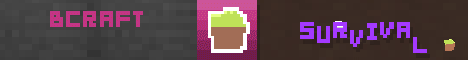 banner for BCRAFT server