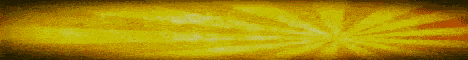 banner for Vitality Network server