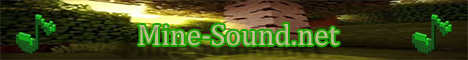 banner for MineSound Network server