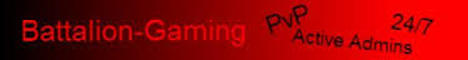 banner for battalionPvP server