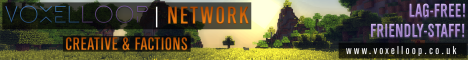 banner for VoxelLoop Network server