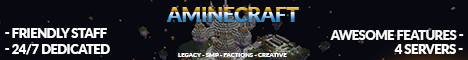 banner for AMineCraft server