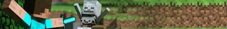 banner for TofuMC server
