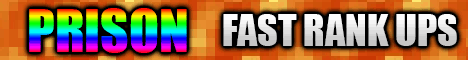 banner for DANCRAFT server