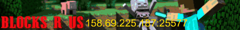 banner for Blocks R Us server