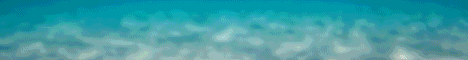 banner for Atlantic Network server