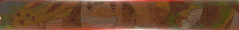 banner for PokeVoyage server