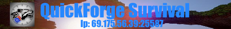 banner for QuickForge server