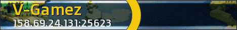 banner for V-Gamez server