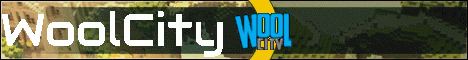 banner for WoolCity server