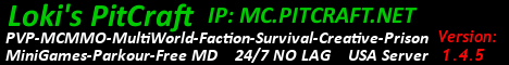 banner for PitCraft server