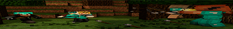 banner for NiunNombre server