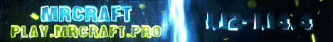 banner for Mr.Craft server