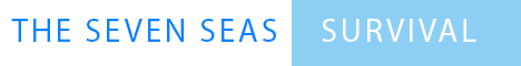 banner for The Seven Seas server