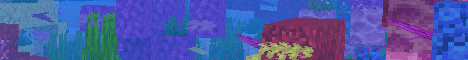 banner for Reef MC server