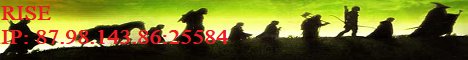 banner for RISE server