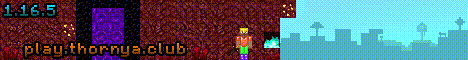 banner for Prismma Online server